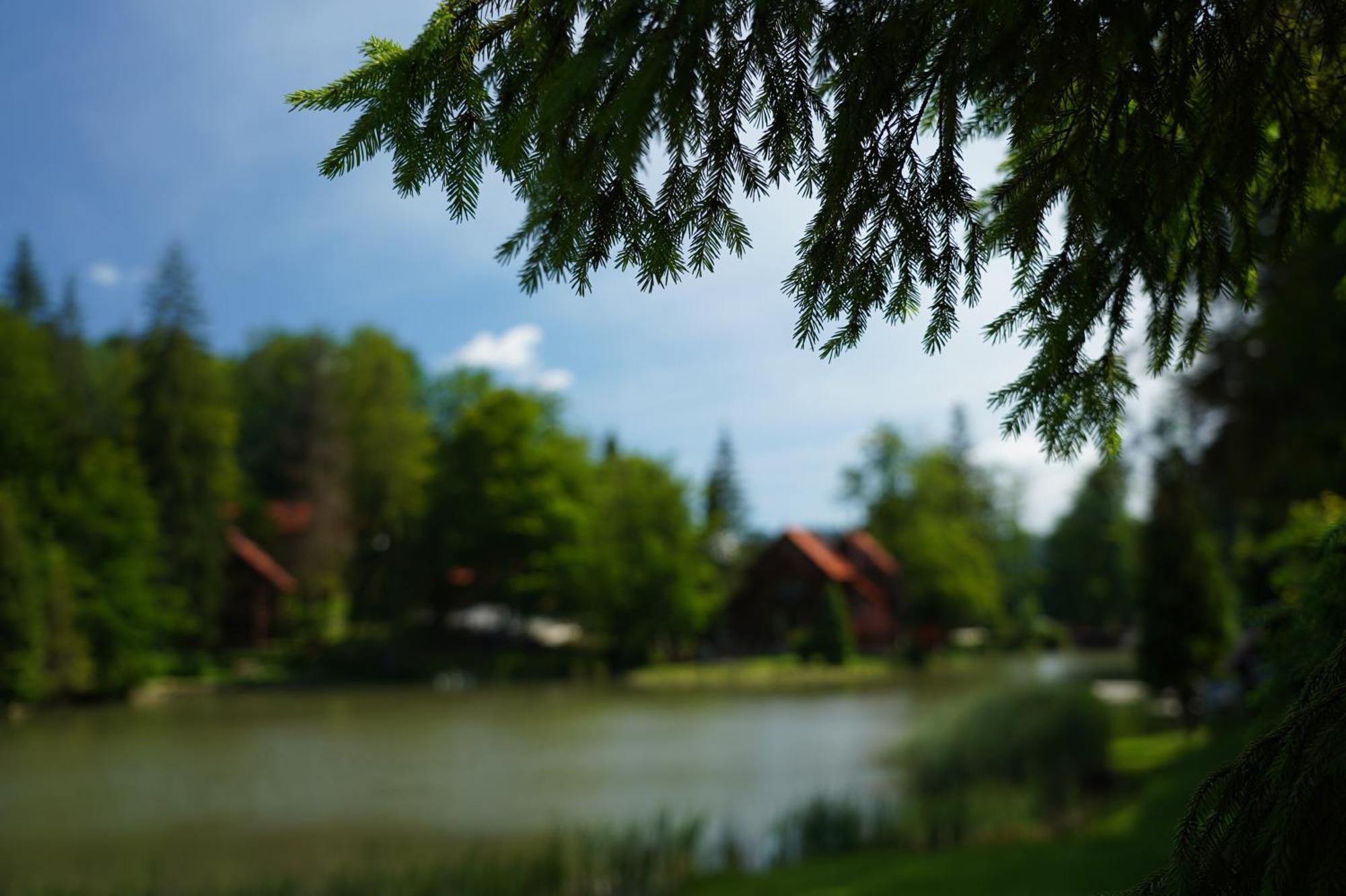 Hotel Ozero Vita Nizhniy Studenyy エクステリア 写真